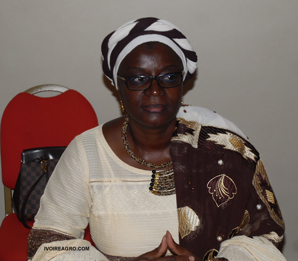 25/09/16 3ème Edition des JNCC : plus de 1000 acteurs du cacao et chocolatiers attendus à Abidjan
